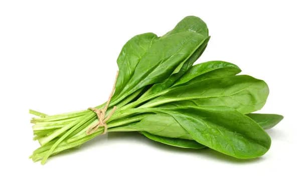 Épinard