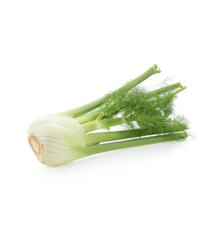 Fenouil