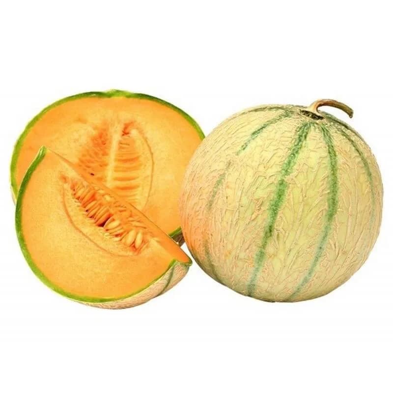 Melon cavaillon
