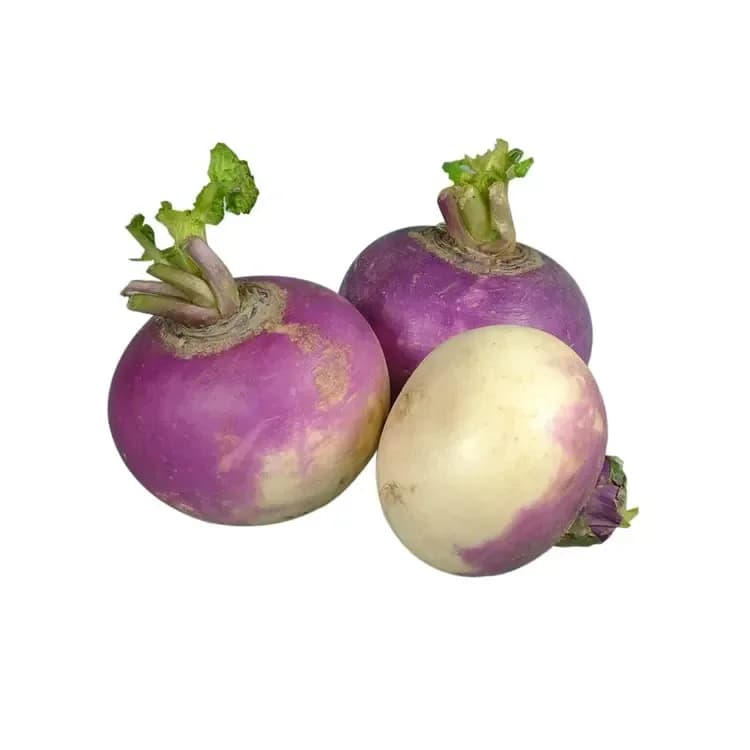 Navets