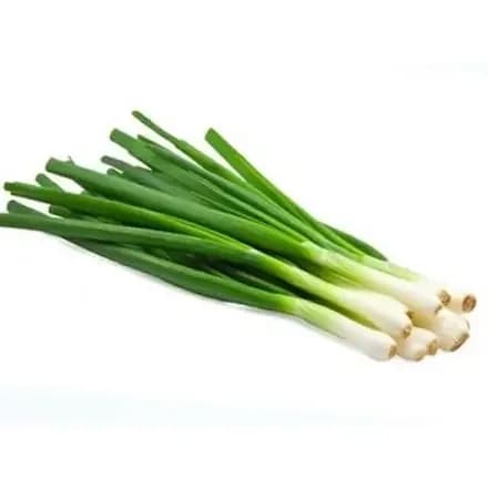 Oignon vert