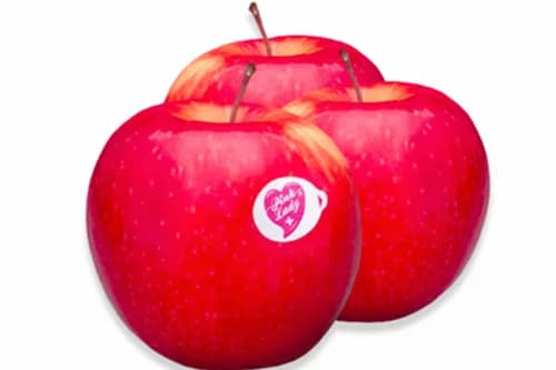 Pomme Pink lady