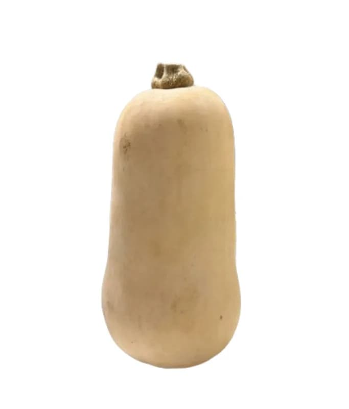 Potiron bouteille