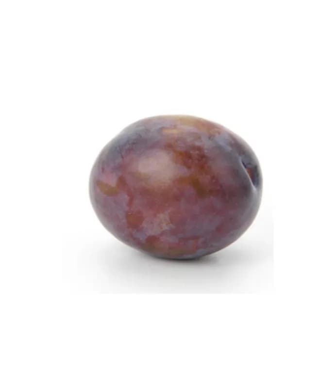 Prune président