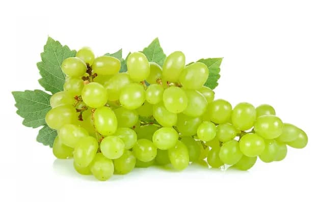 Raisin vert