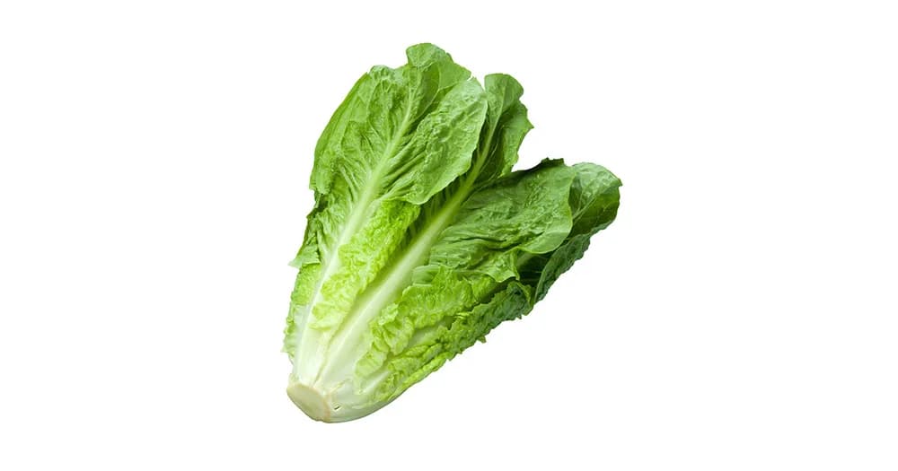 Salade romaine