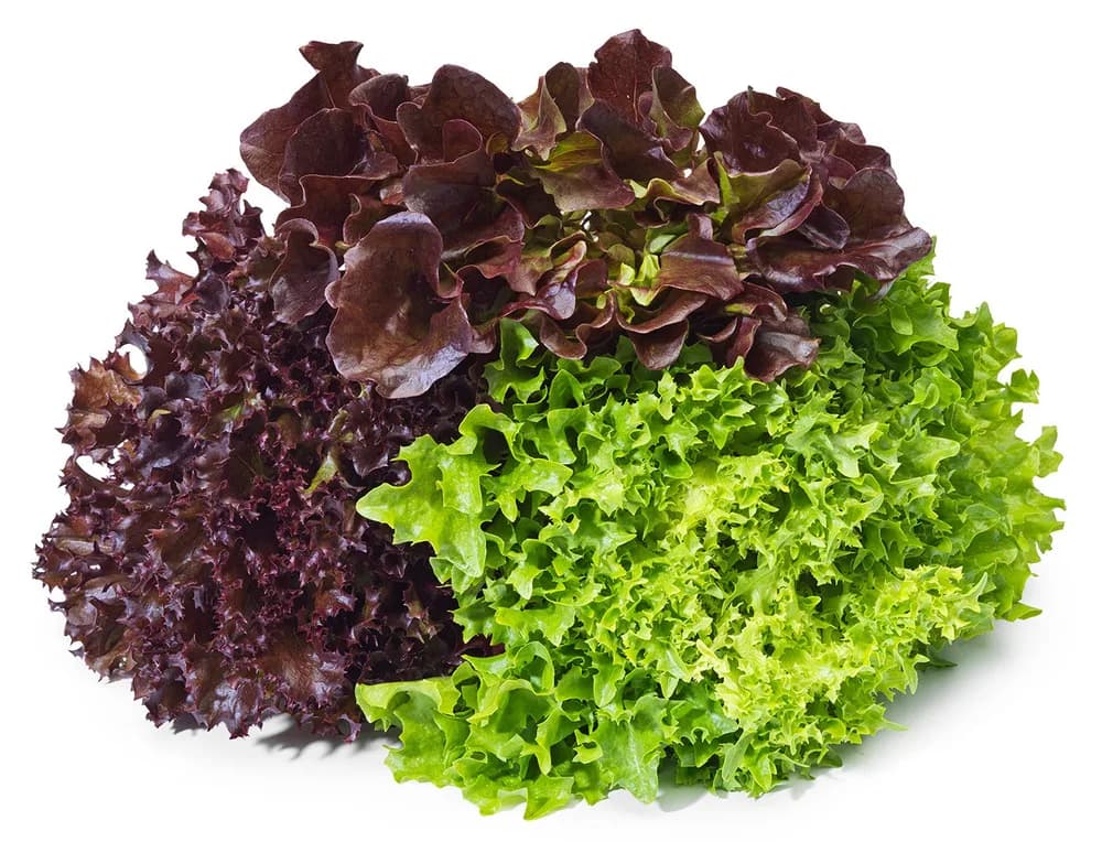 Salade trio